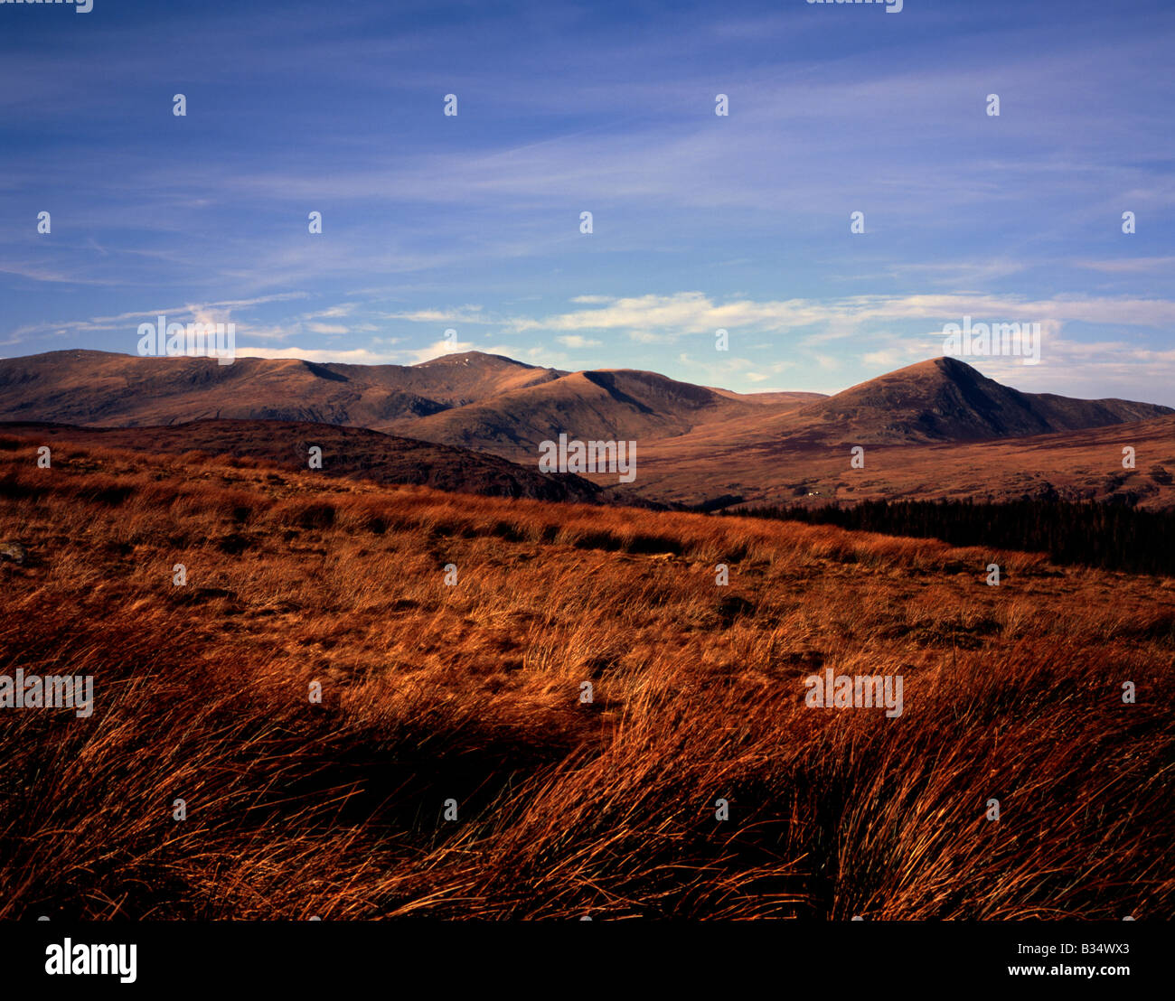 The Carneddau Range, including Carnedd Dafydd and Carnedd Llewelyn from the foot of Moel Siabod Snowdonia National Park, Gwynedd Stock Photo