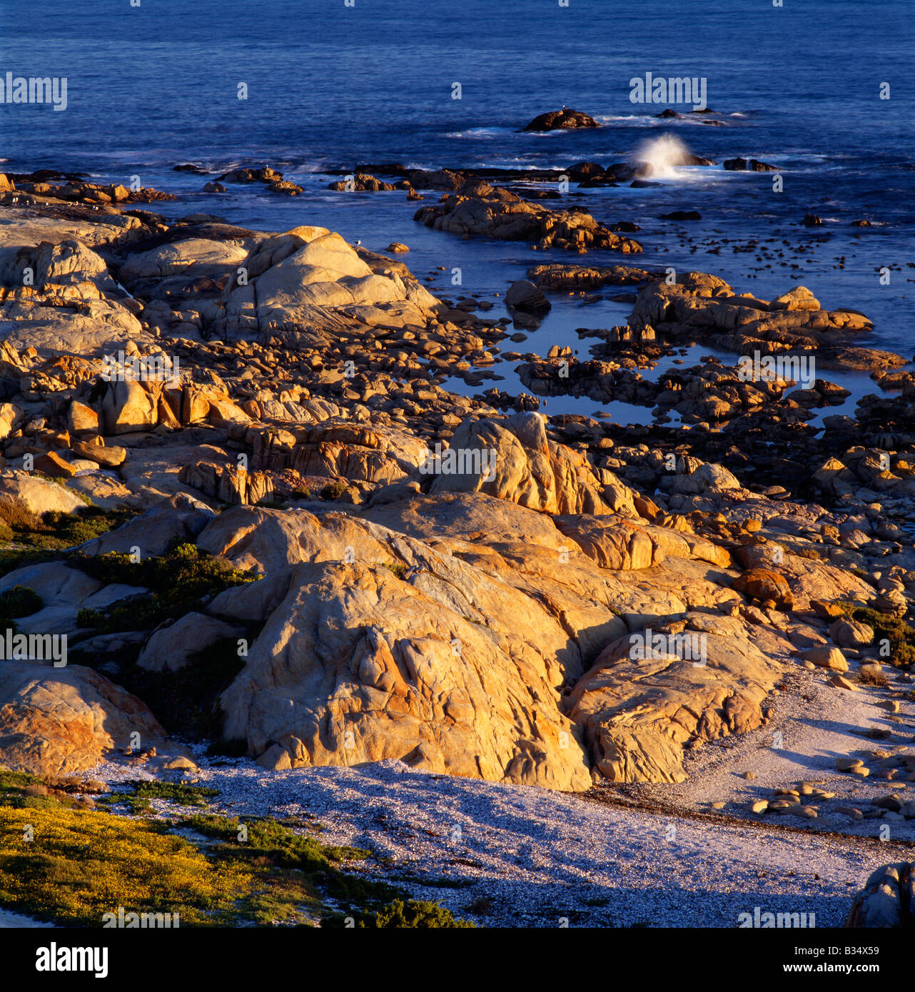 Rocky shoreline at Tietiesbaai in Cape Columbine Nature Reserve