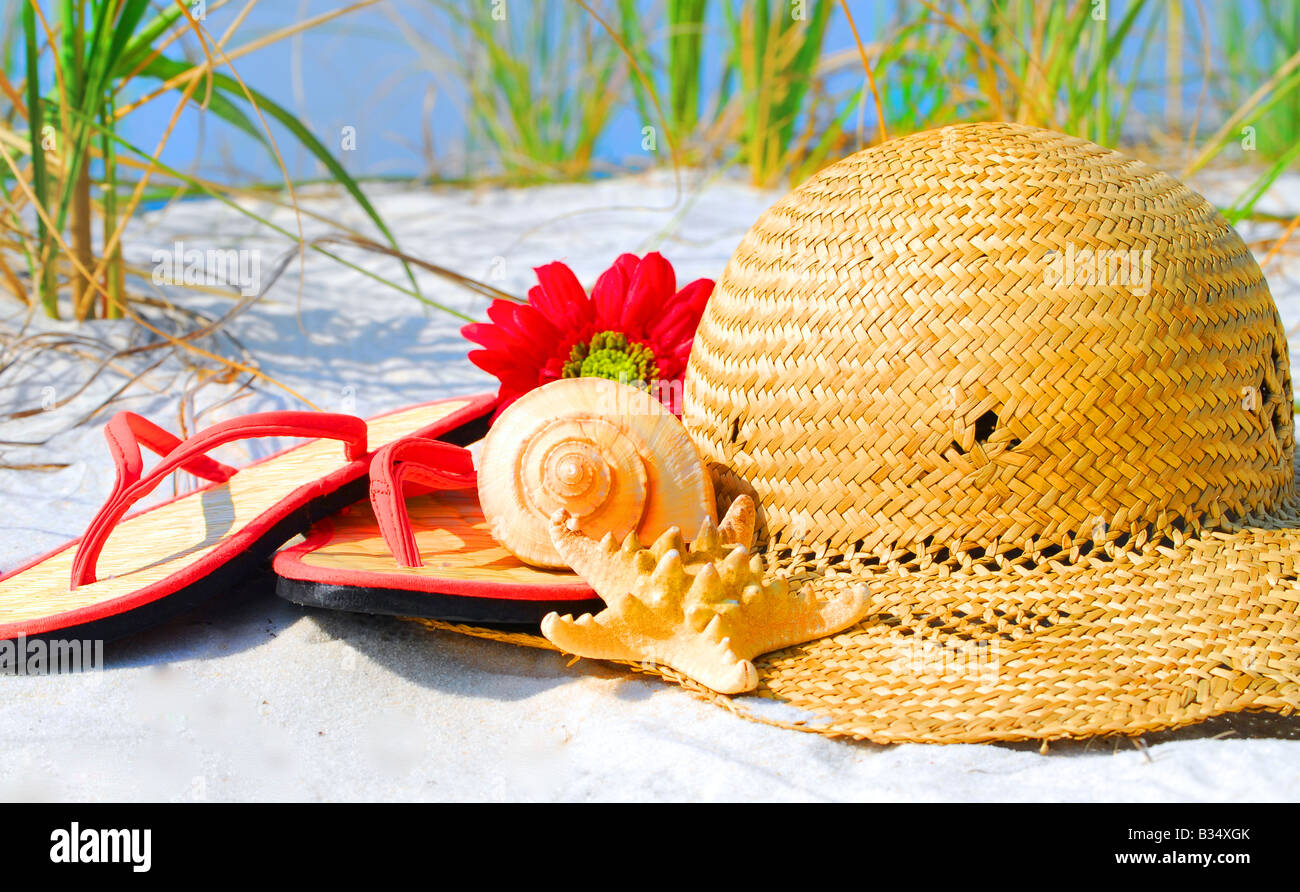 Seashells, hat and flip flops on beach Stock Photo - Alamy