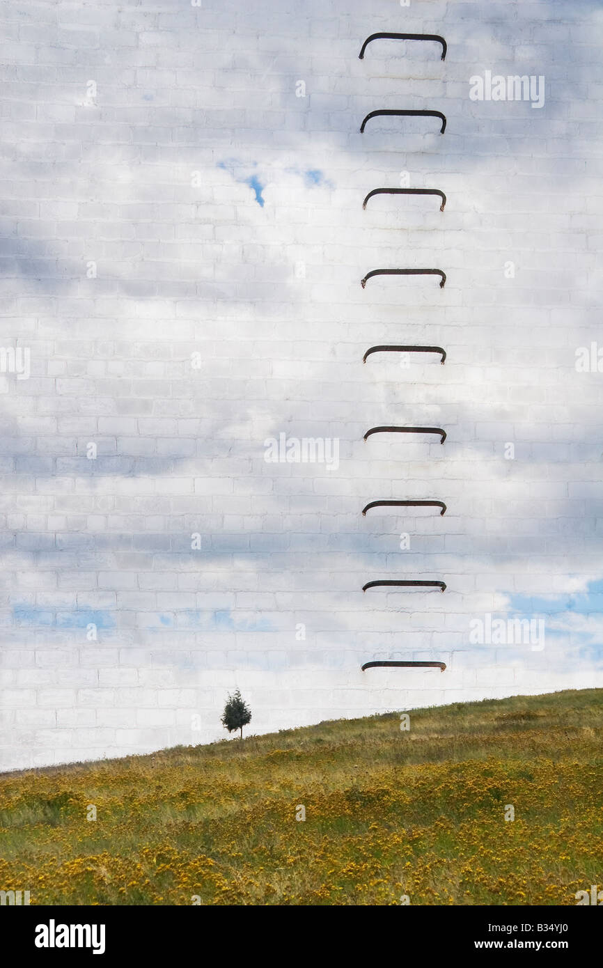 Vertical rungs hi-res stock photography and images - Alamy