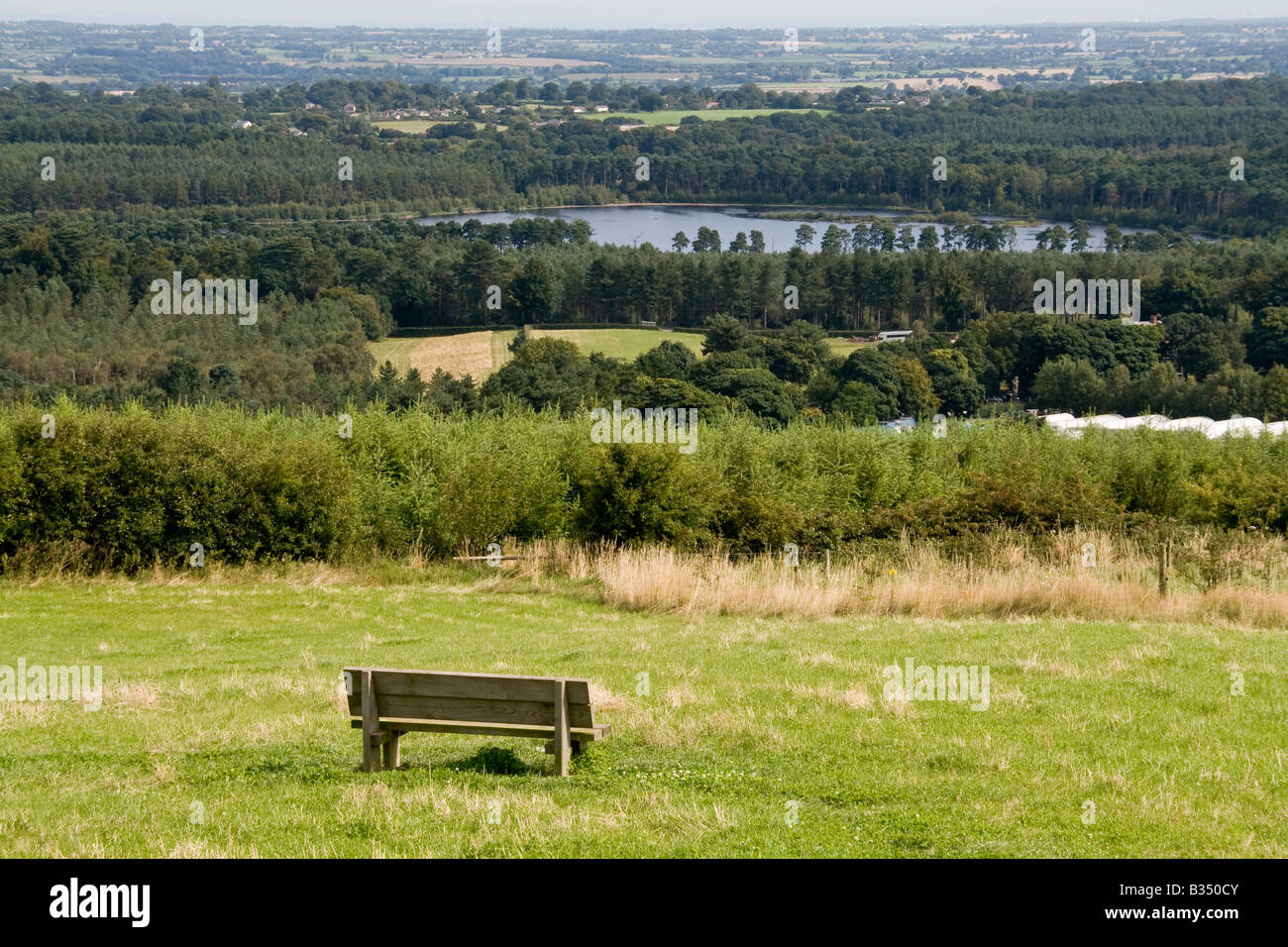 Seat overlooking Delamere Forest Park, Cheshire, England Stock Photo