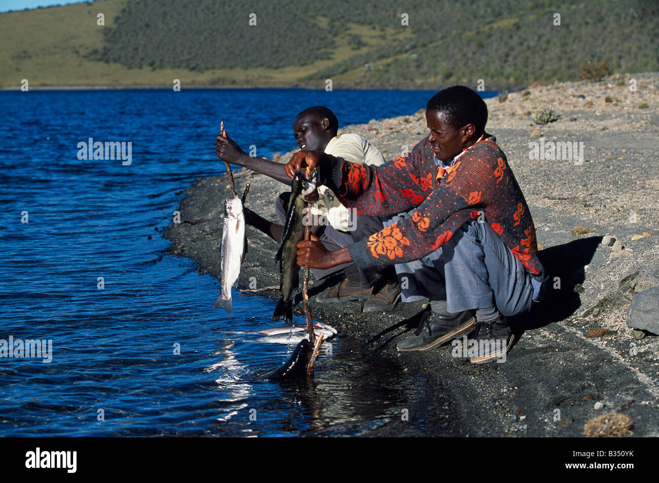 Kenya, Mt Kenya. Preparing the catch of rainbow trout from Lake Alice, ready for the walk back