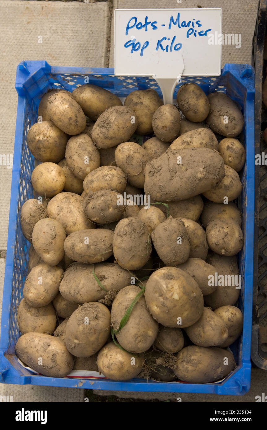 plastic box of fresh unwashed muddy local maris piper potatoes on sale for 90p per kilo at farmers market Stock Photo