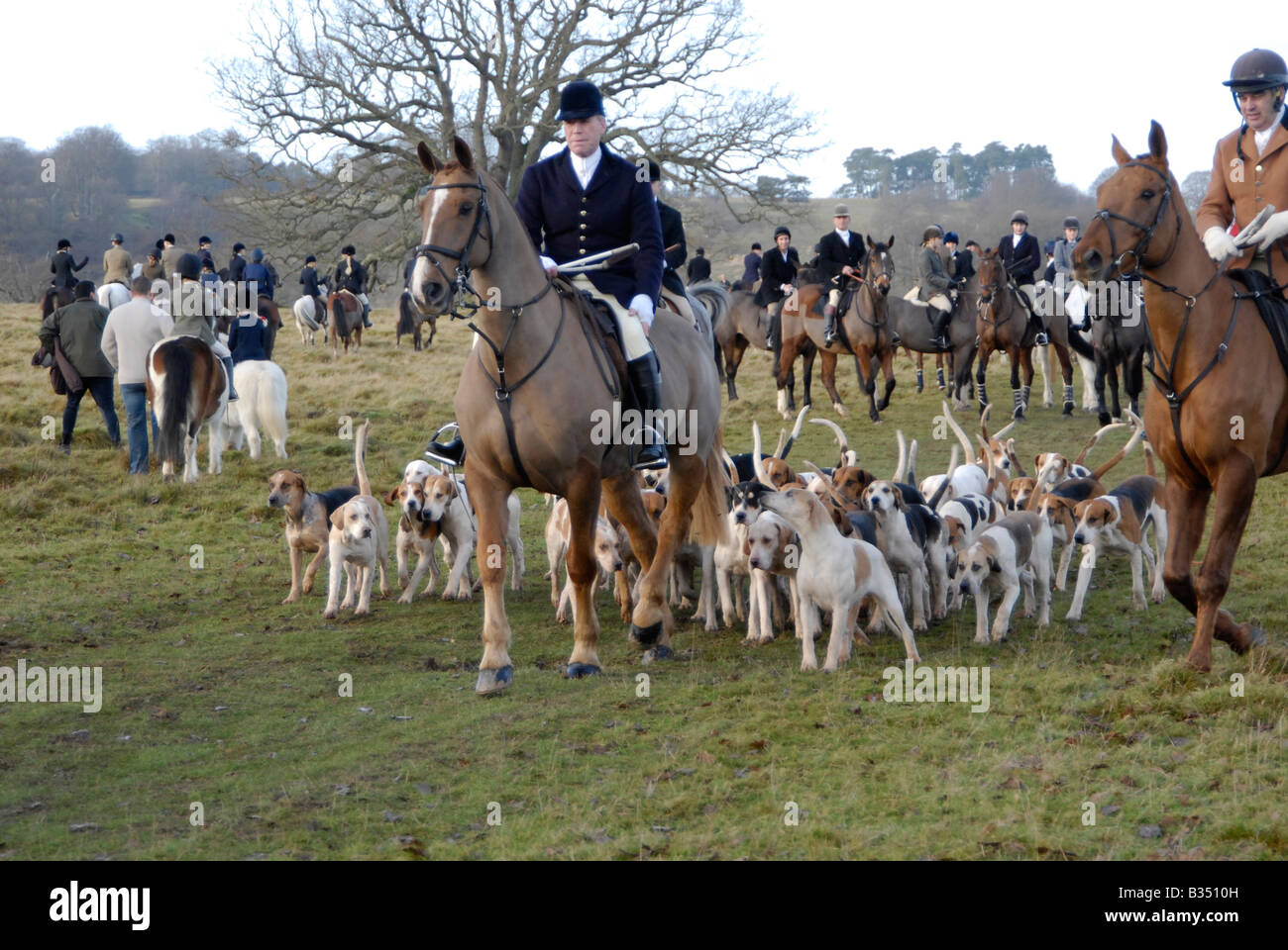 Huntsmen and hounds - Boxing Day Hunt, Petworth, Surrey, England Stock Photo