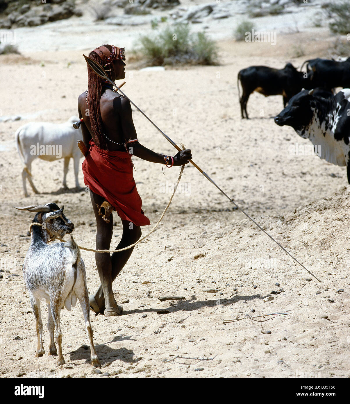Kenya, Samburu, Ilaut. A Samburu warrior with long, Ochred hair pauses at the waterholes at Ilaut in typical pose. Stock Photo