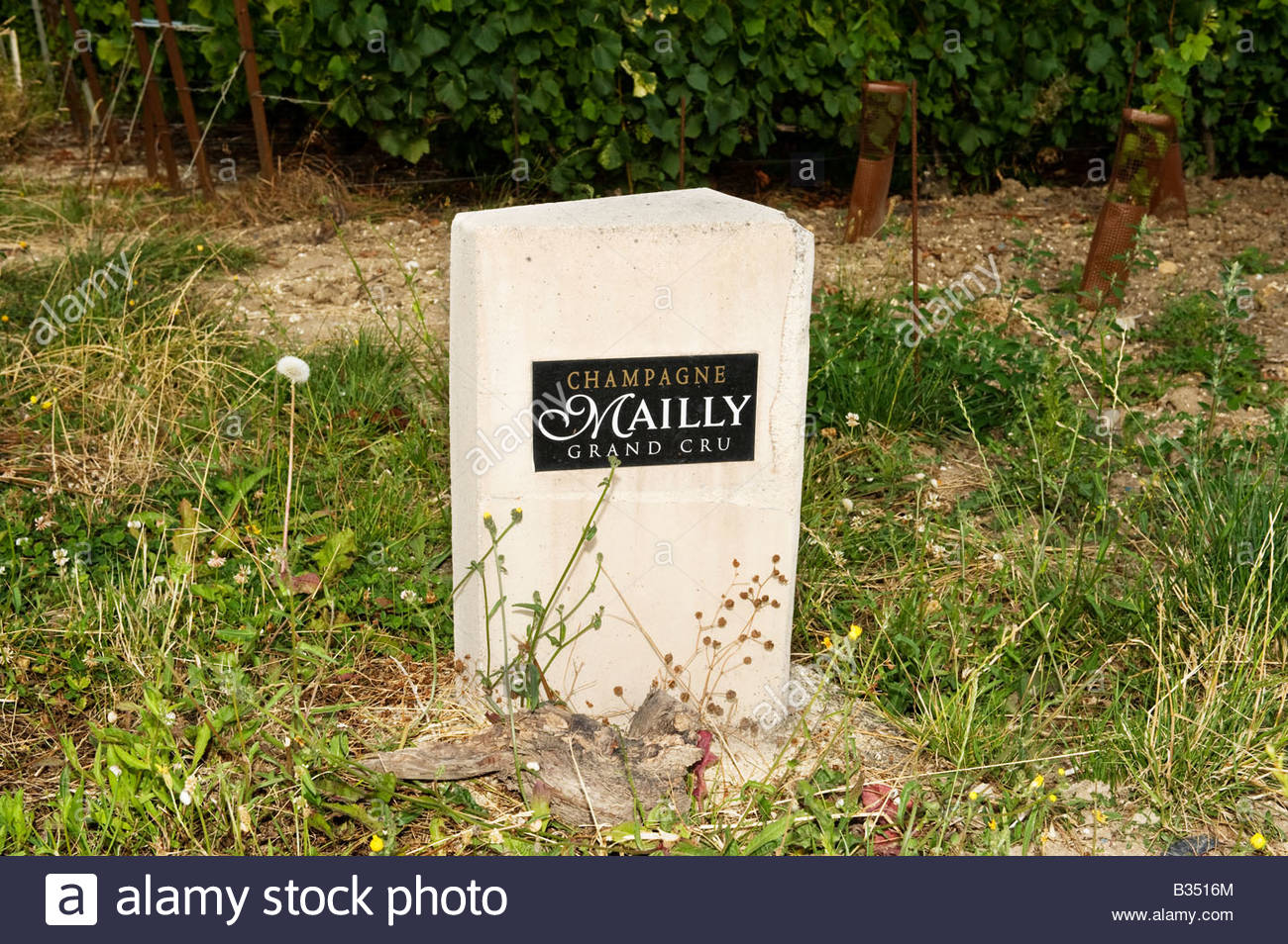 Champagne Mailly Grand Cru Vineyard Sign Montagne De Reims