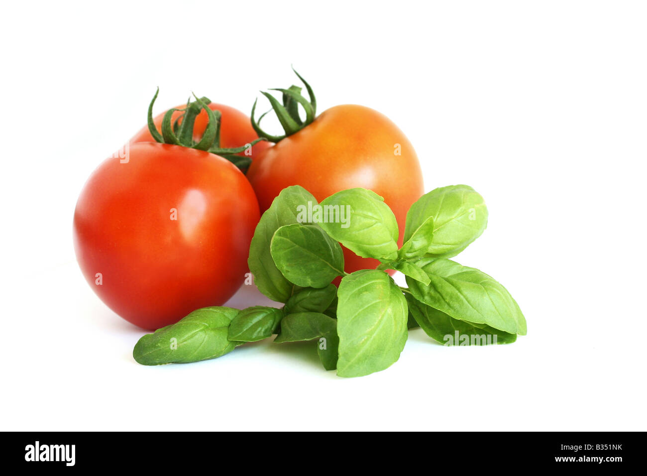 Red ripe tomatoes and basil leaves Stock Photo