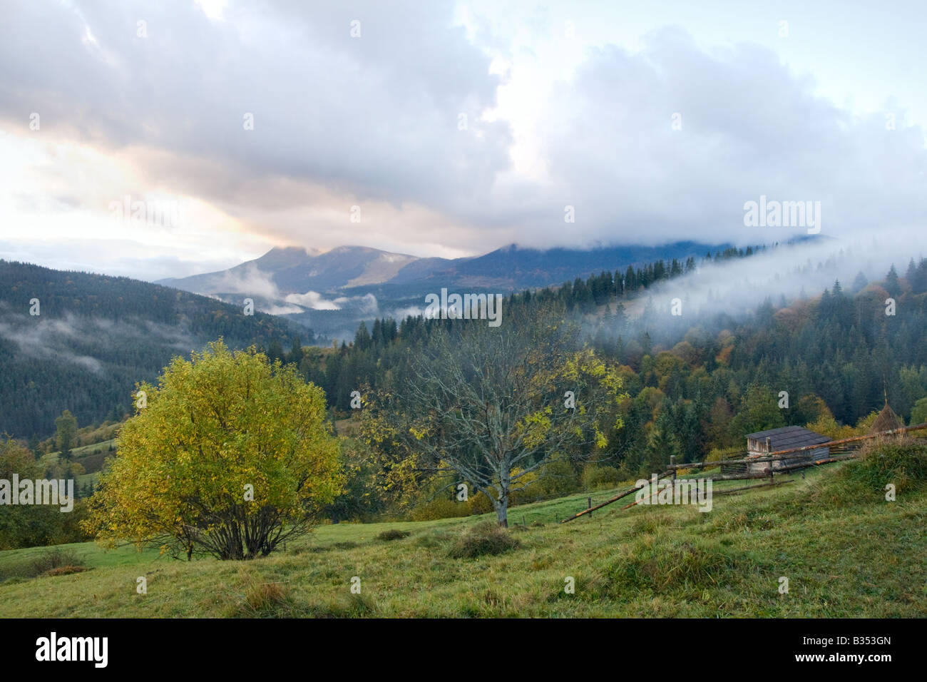 Misty early daybreak in autumn Carpathian mountain, Ukraine Stock Photo ...