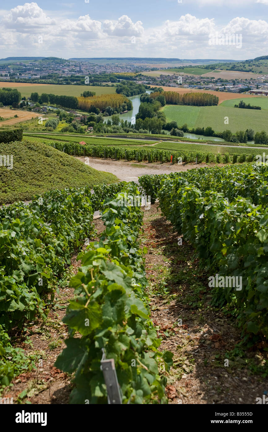 vineyards leading down to the river Marne from Hautvillers with the town of epernay in the distance Stock Photo