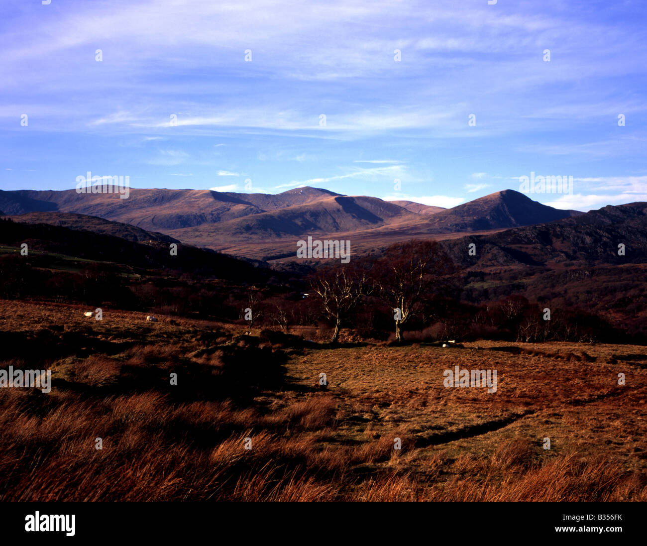The Carneddau Range, including Carnedd Dafydd and Carnedd Llewelyn from the foot of Moel Siabod Snowdonia National Park, Gwynedd Stock Photo