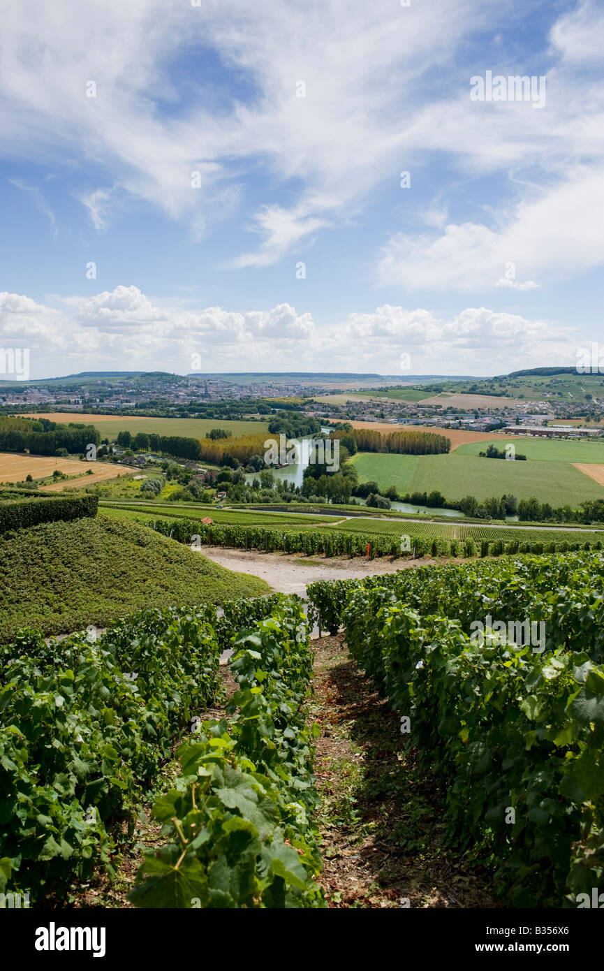 Vineyards leading down to the river Marne from Hautvillers with the town of Epernay in the distance Stock Photo