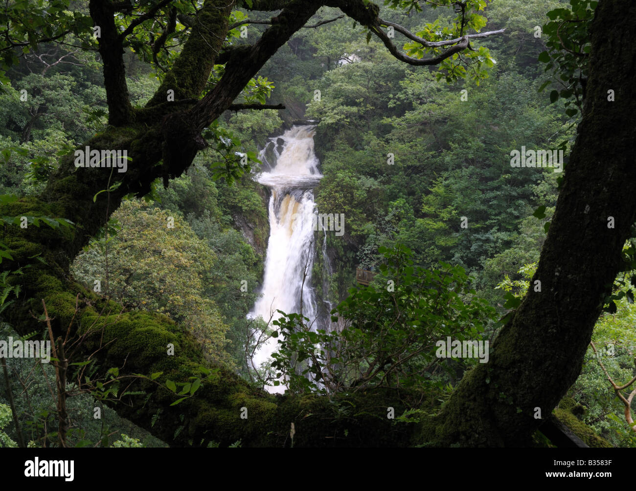Get Devil&#039;s Bridge Waterfall Pics