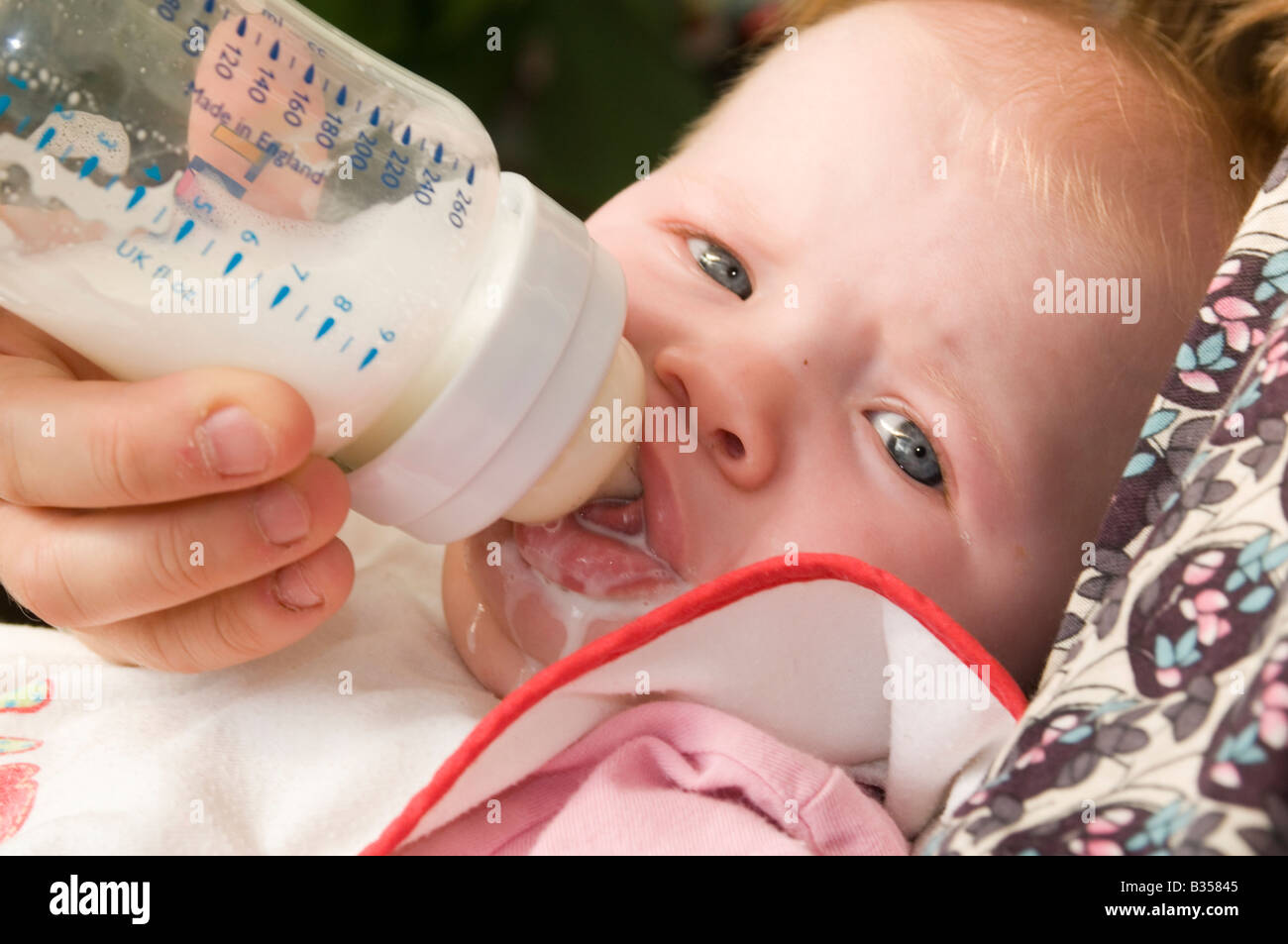 Adult milk suckling seems The Adult milk suckling opinion you