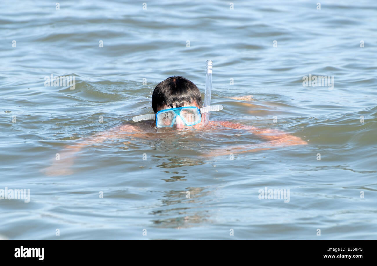 Man snorkeling in the sea Stock Photo