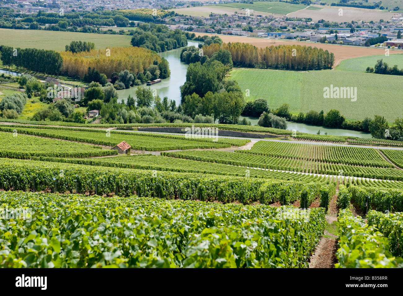 vineyards on hillside overlooking the marne valley with epernay in the distance Stock Photo