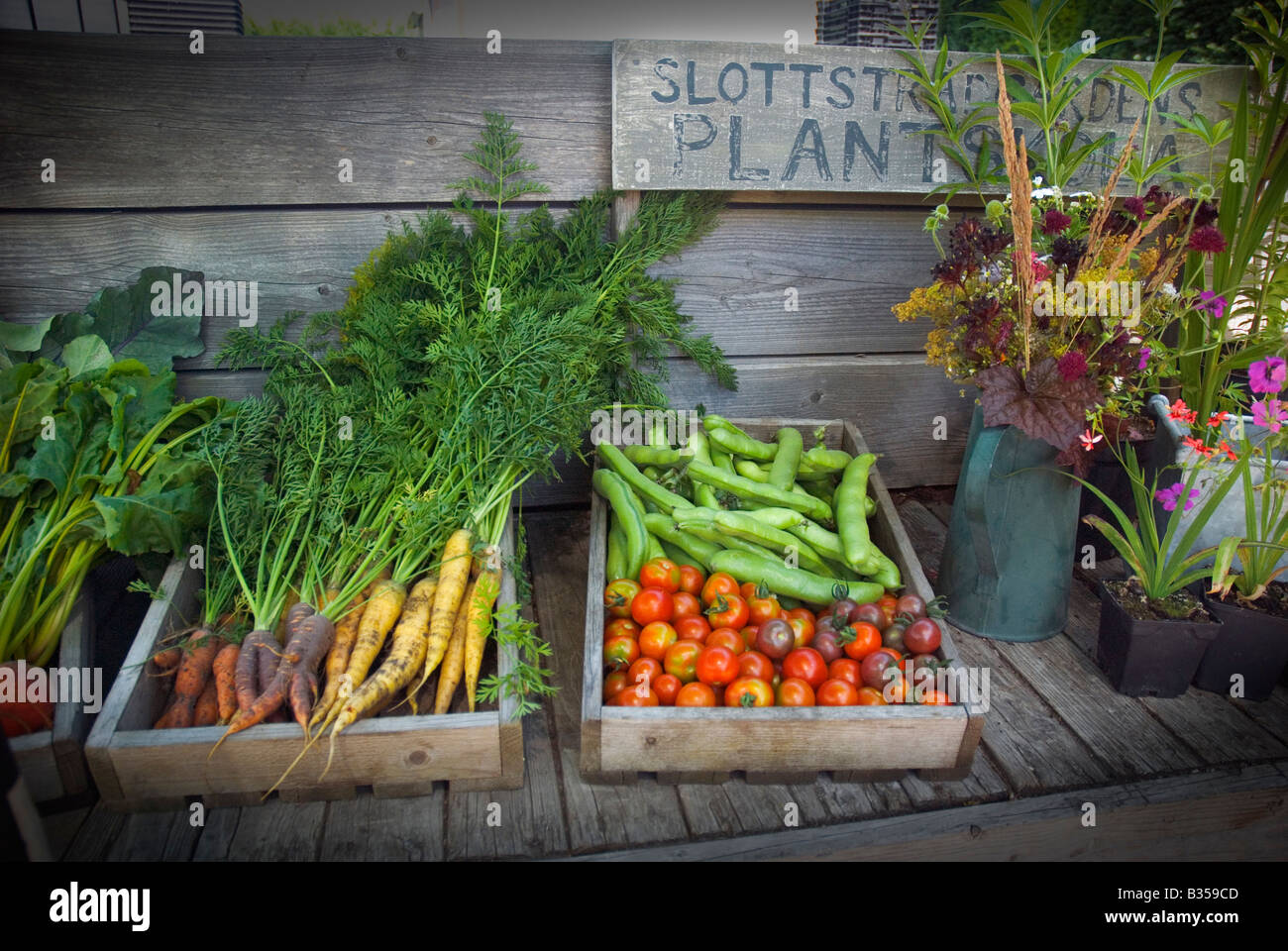 Fresh vegetables for sale in the organic garden Slottsträdgården (the Castle Garden) in Malmö