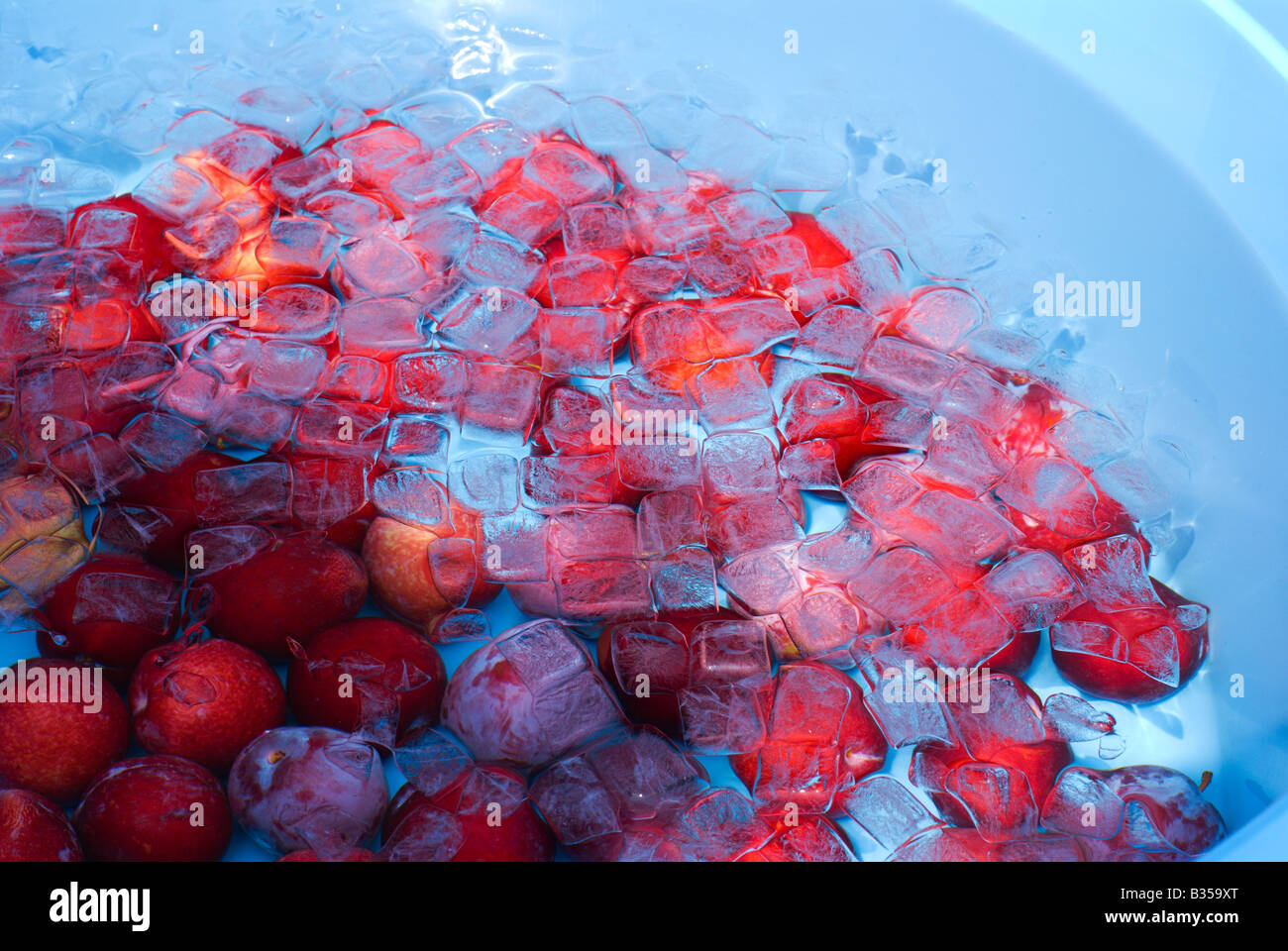 Chilled fruits and vegetables are popular summer snacks in Japan. Sweet purple plums are displayed in a blue tub of ice water. Stock Photo