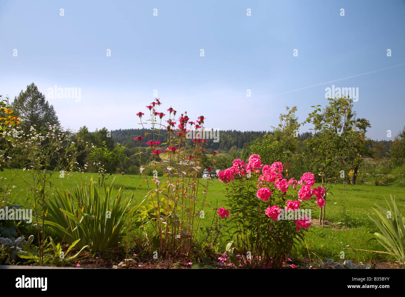 Back yard vegetable garden hi-res stock photography and images - Alamy