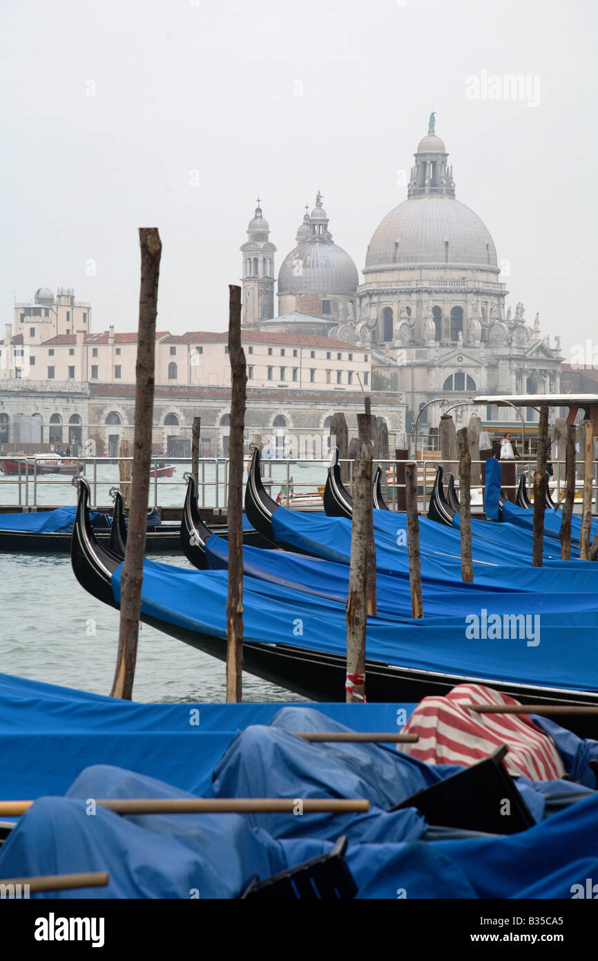 Moored gondolas in the morning, Venice, Italy Stock Photo