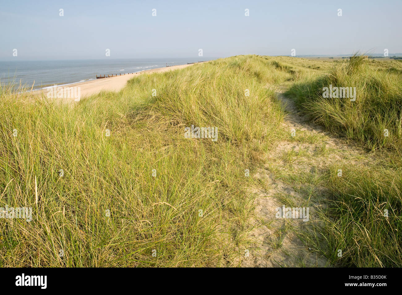 Sand dunes and beaches near Great Yarmouth, Norfolk Stock Photo