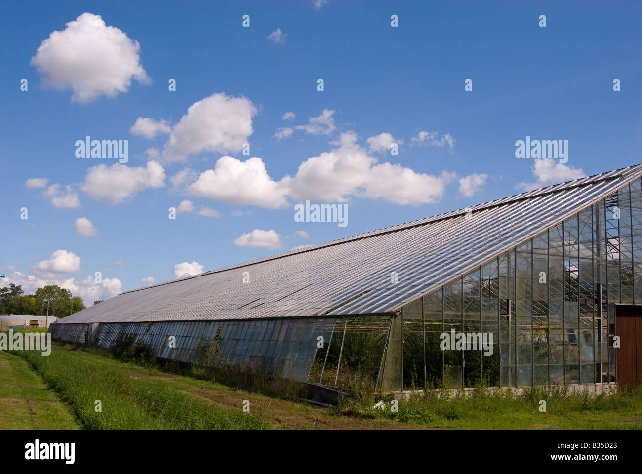 Large industrial greenhouse Stock Photo Alamy
