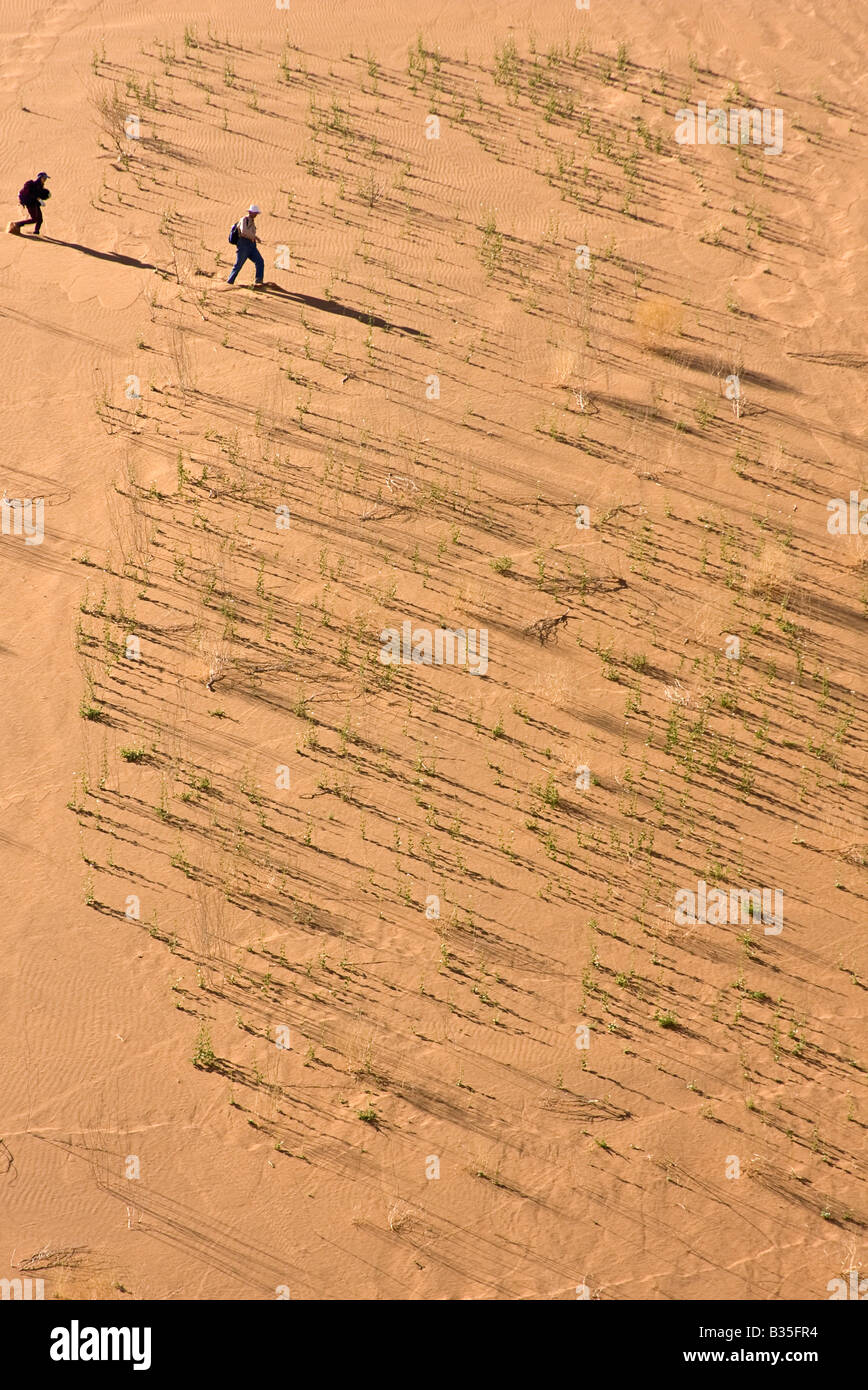Hikers in Namib Naukluft Park at Sossusvlei which is the largest game park in Africa with 40,000 sq km and fourth largest in the Stock Photo