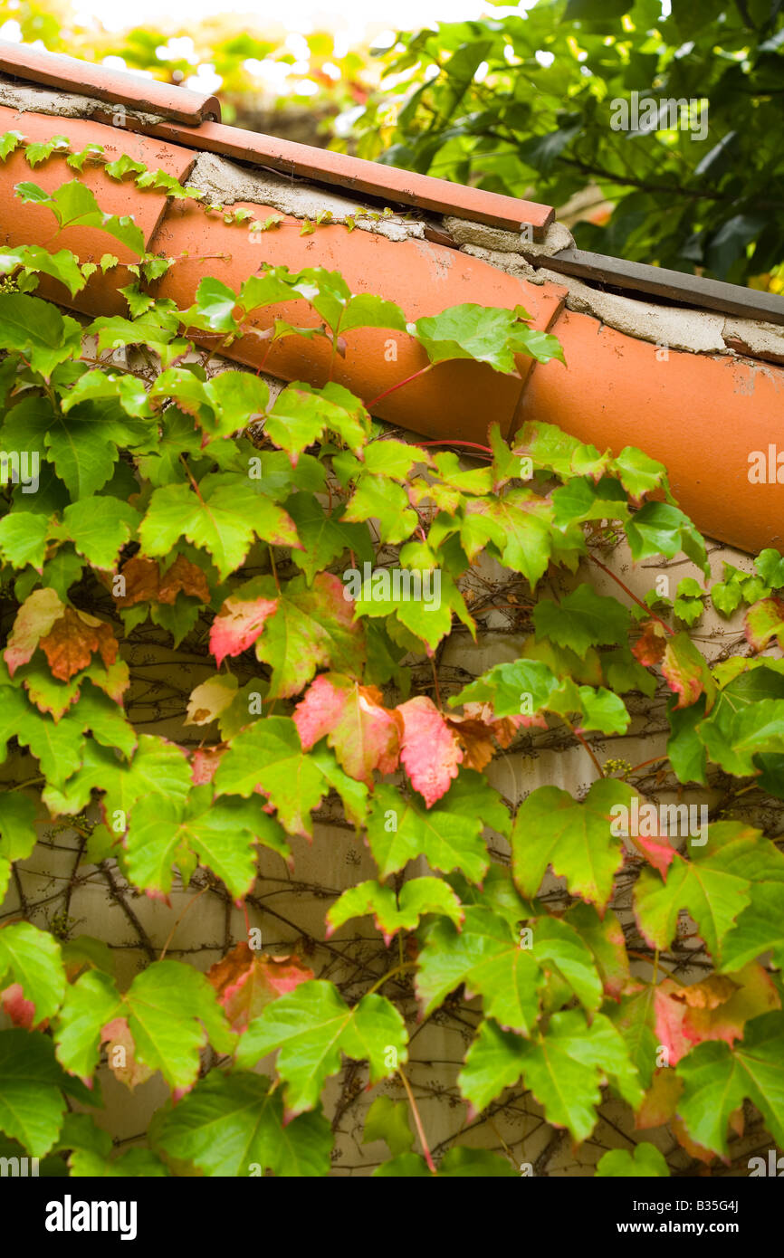 Basic Red Brick Stacked Pattern Red tile roofline hi-res stock photography and images - Alamy