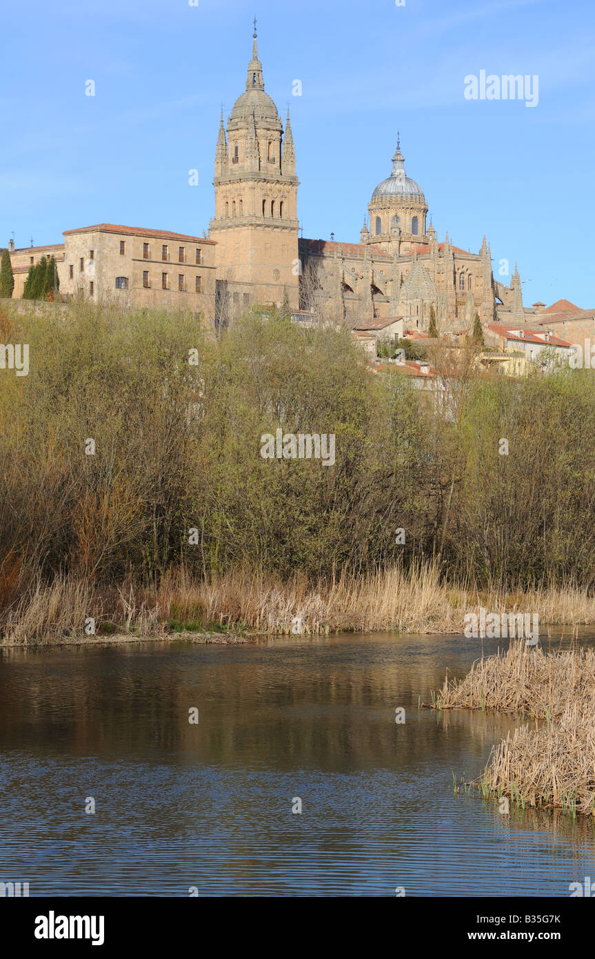 Rio River Tormes with the New and Old Cathedrals Catedral Nueva Vieja Salamanca Spain Stock Photo