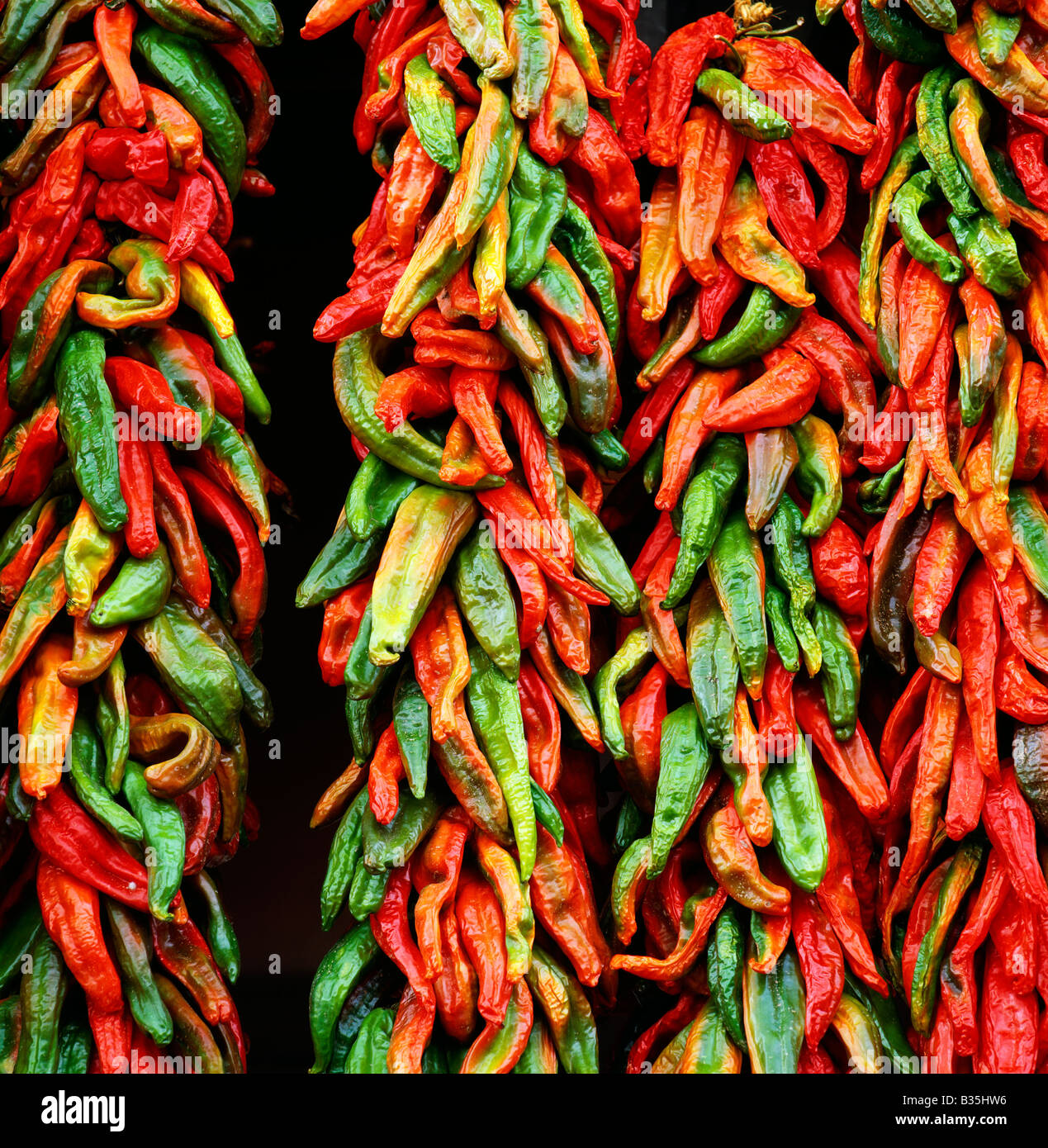 ARTESANO'S; DOWNTOWN STORE DISPLAY OF CHILI PEPPERS, SANTA FE, NEW