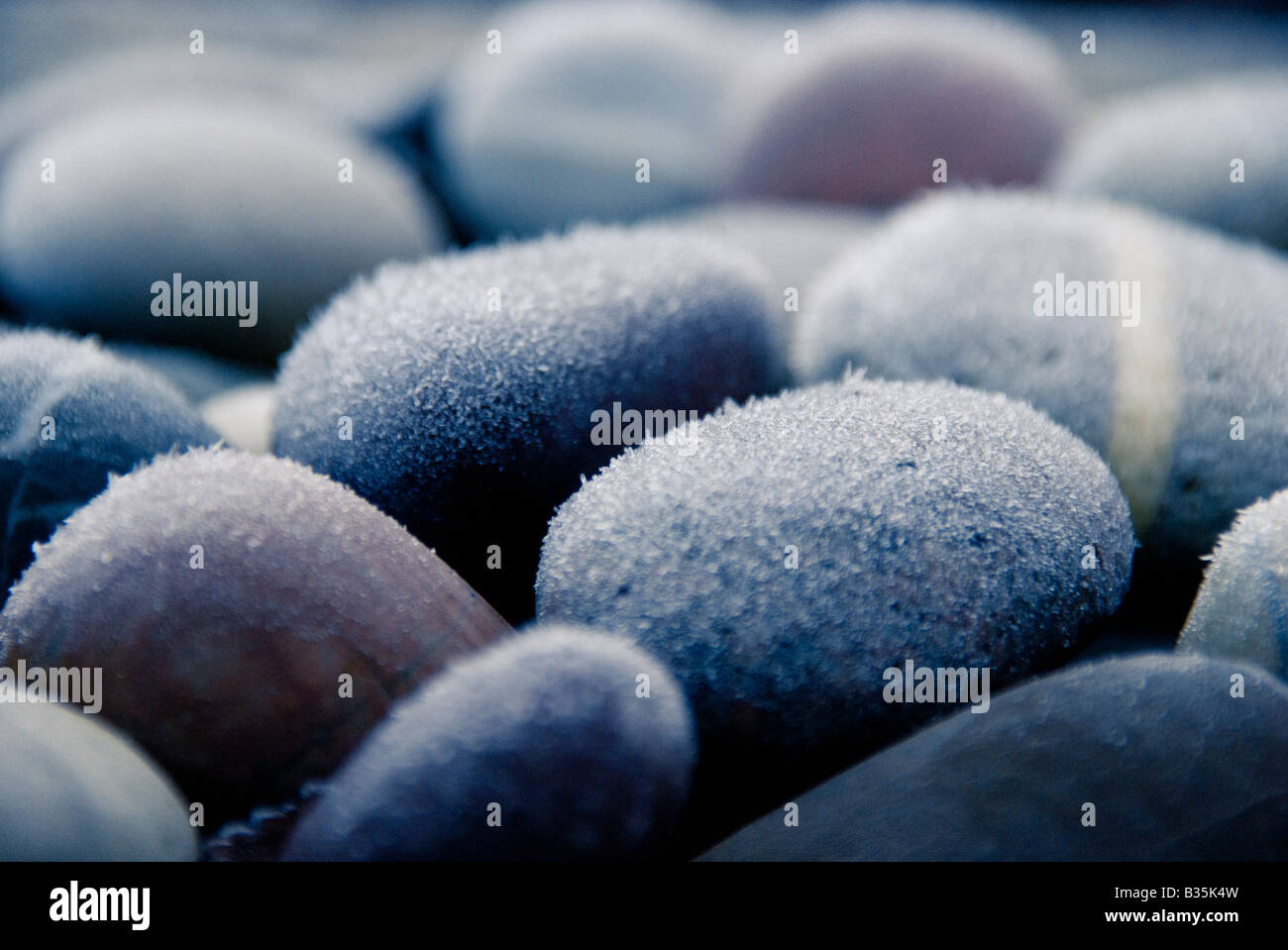 Frosted pebbles Stock Photo