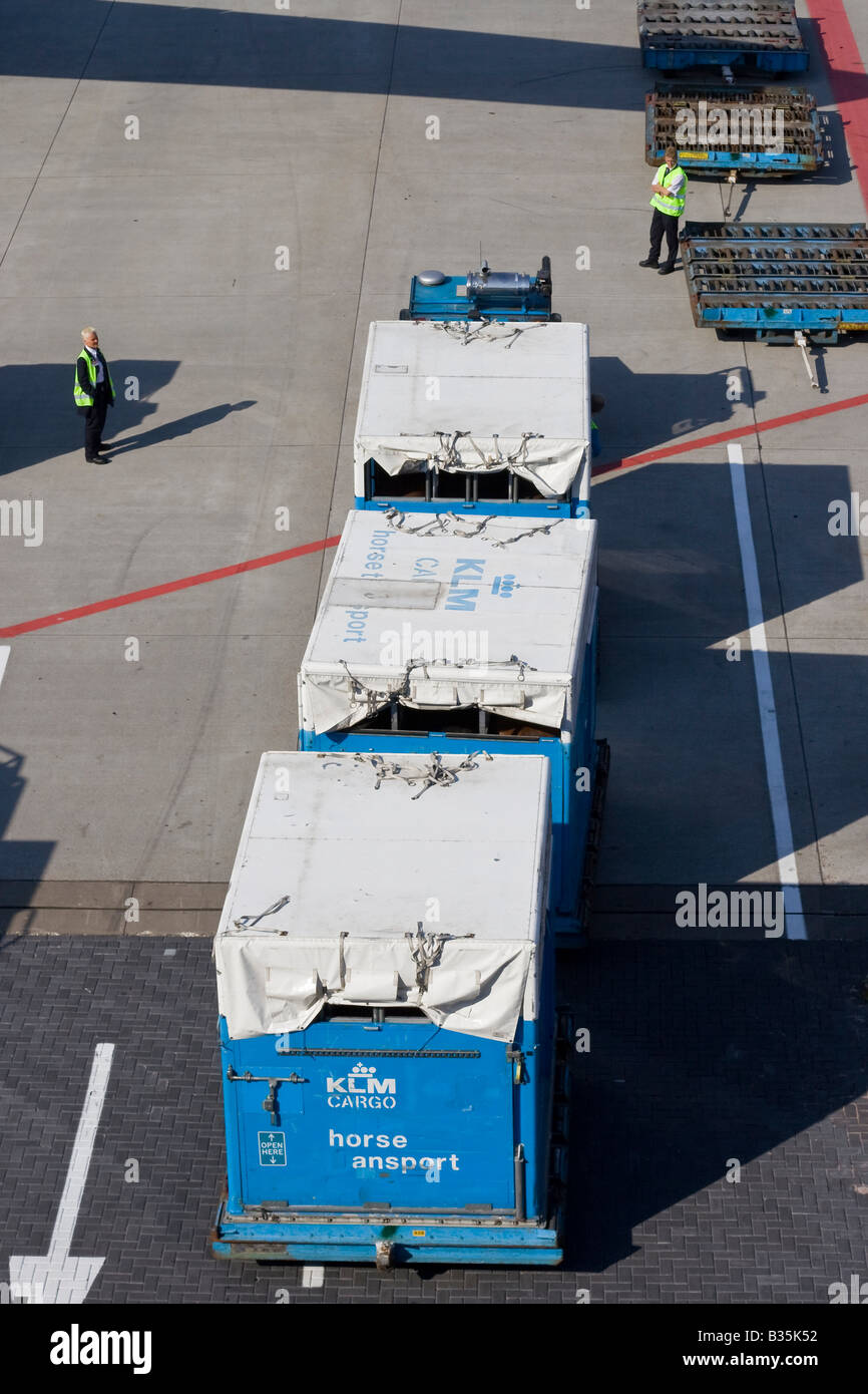 At Amsterdam Airport Schiphol ground handlers are watching horse transport containers for loading into a Boeing 747. Stock Photo