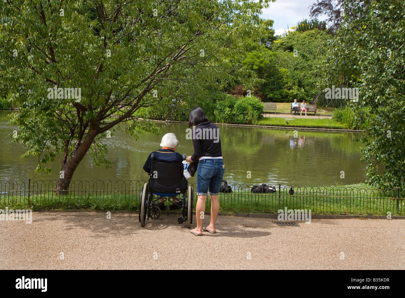 Disabled Person feeding Ducks Regents Park London Summer Stock Photo