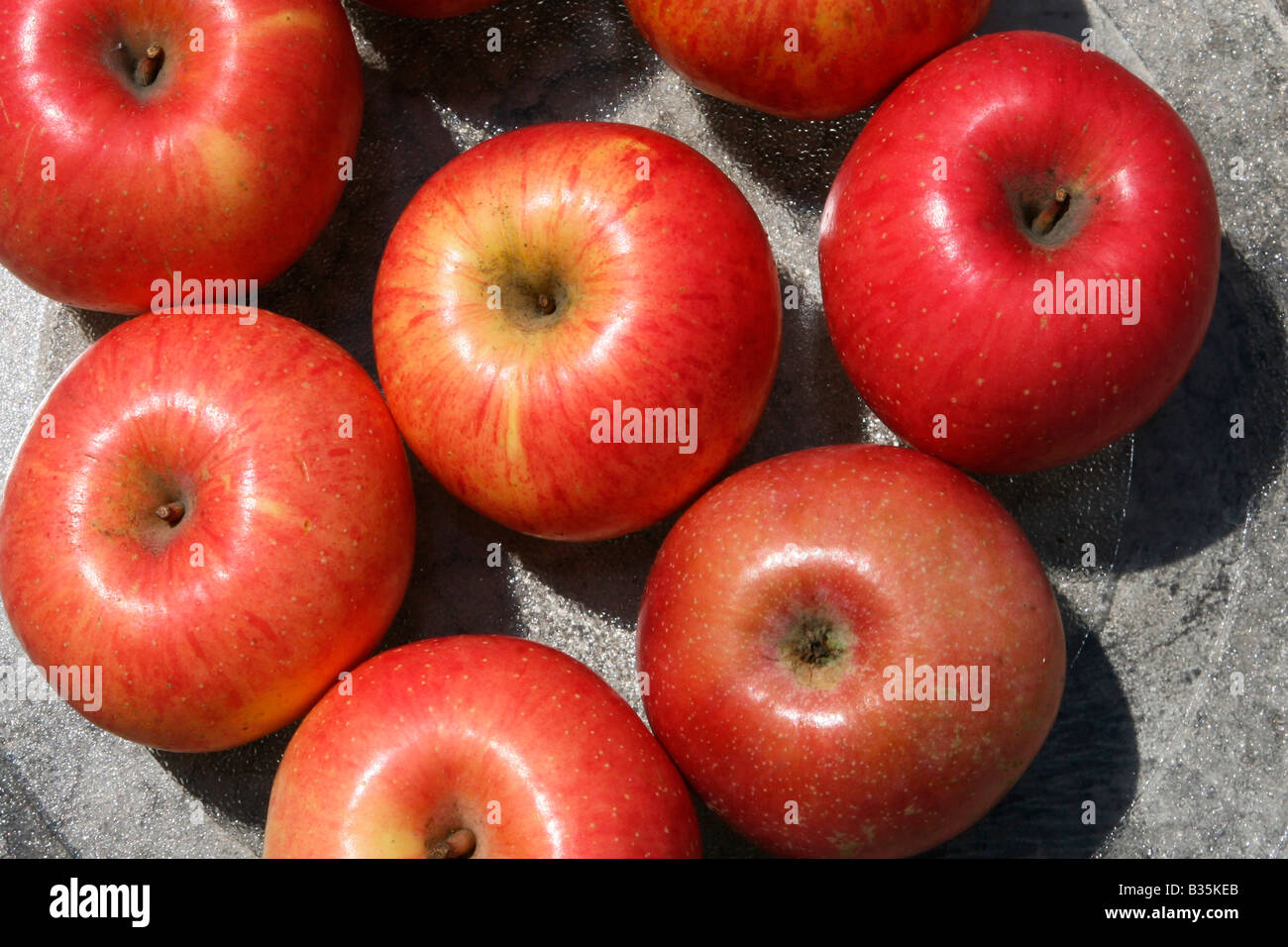 Apples Stock Photo