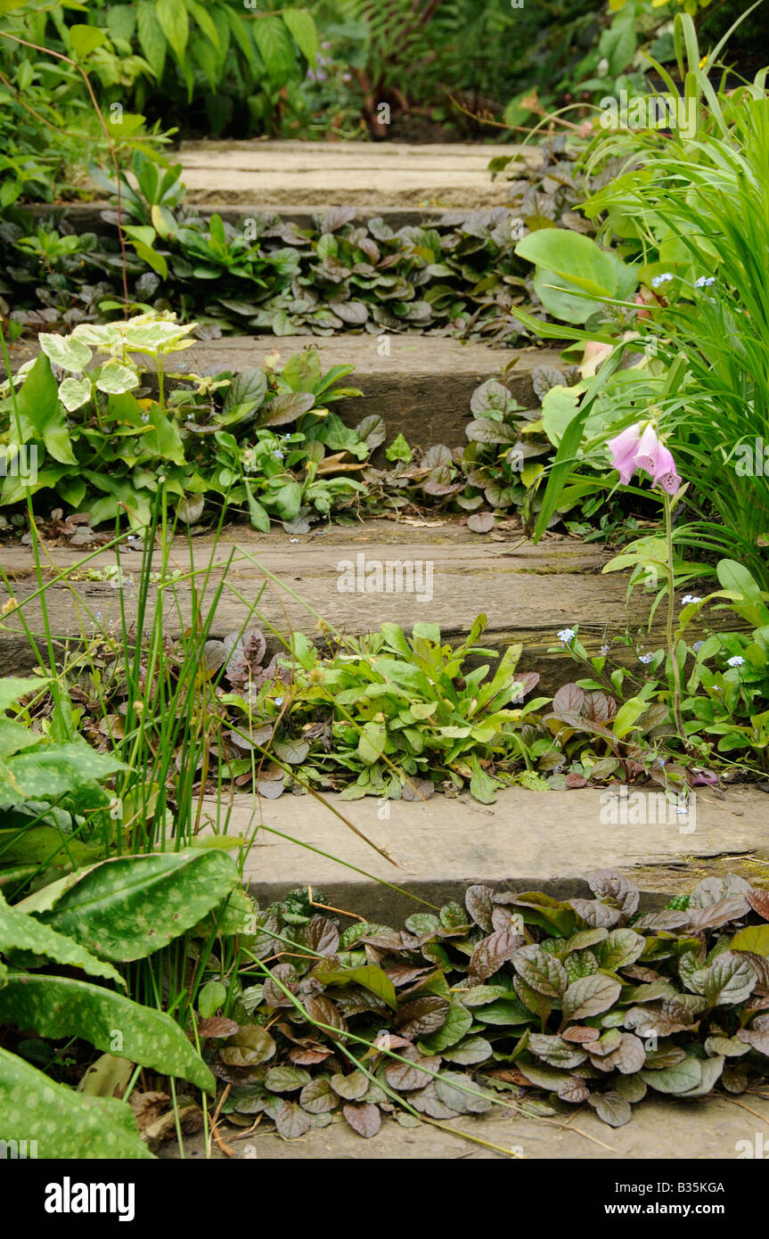 Garden Railway sleeper steps planted with ground cover plants Stock Photo