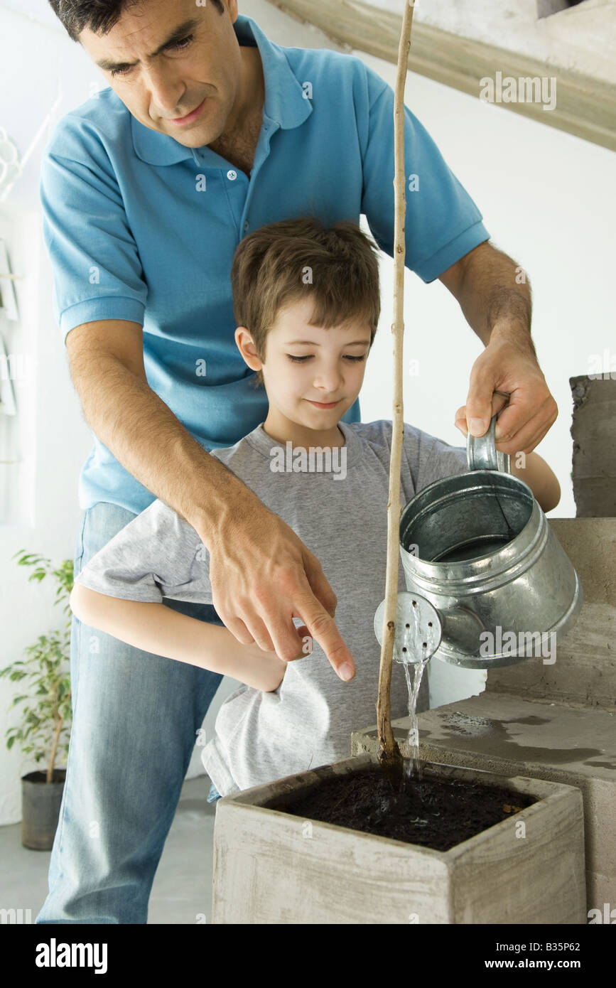 Father and son watering plant together Stock Photo - Alamy