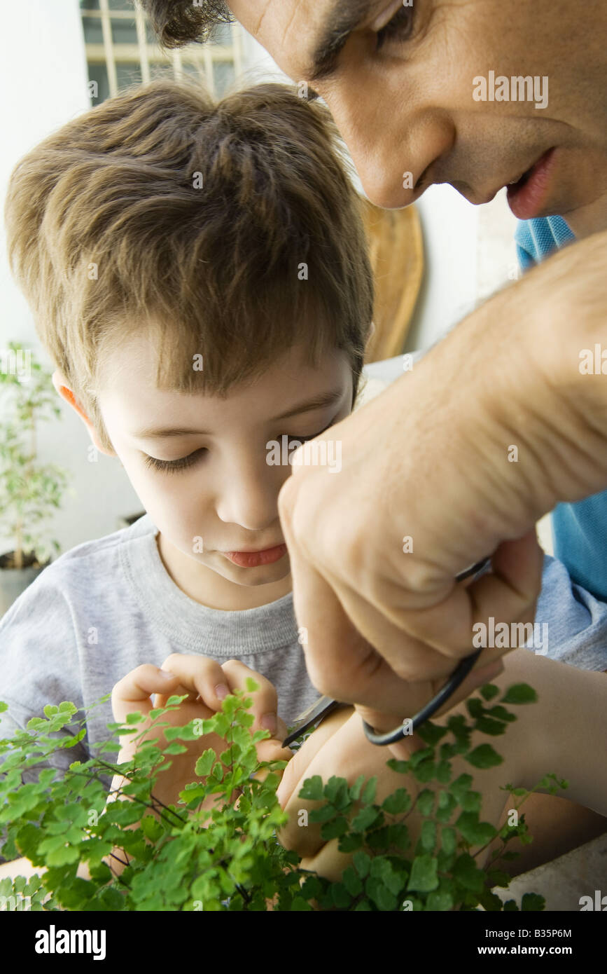 Father and son pruning plant together Stock Photo