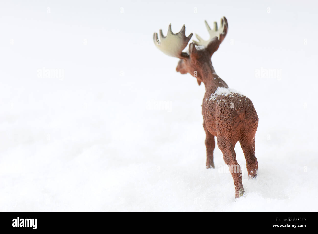Moose full body hi-res stock photography and images - Alamy