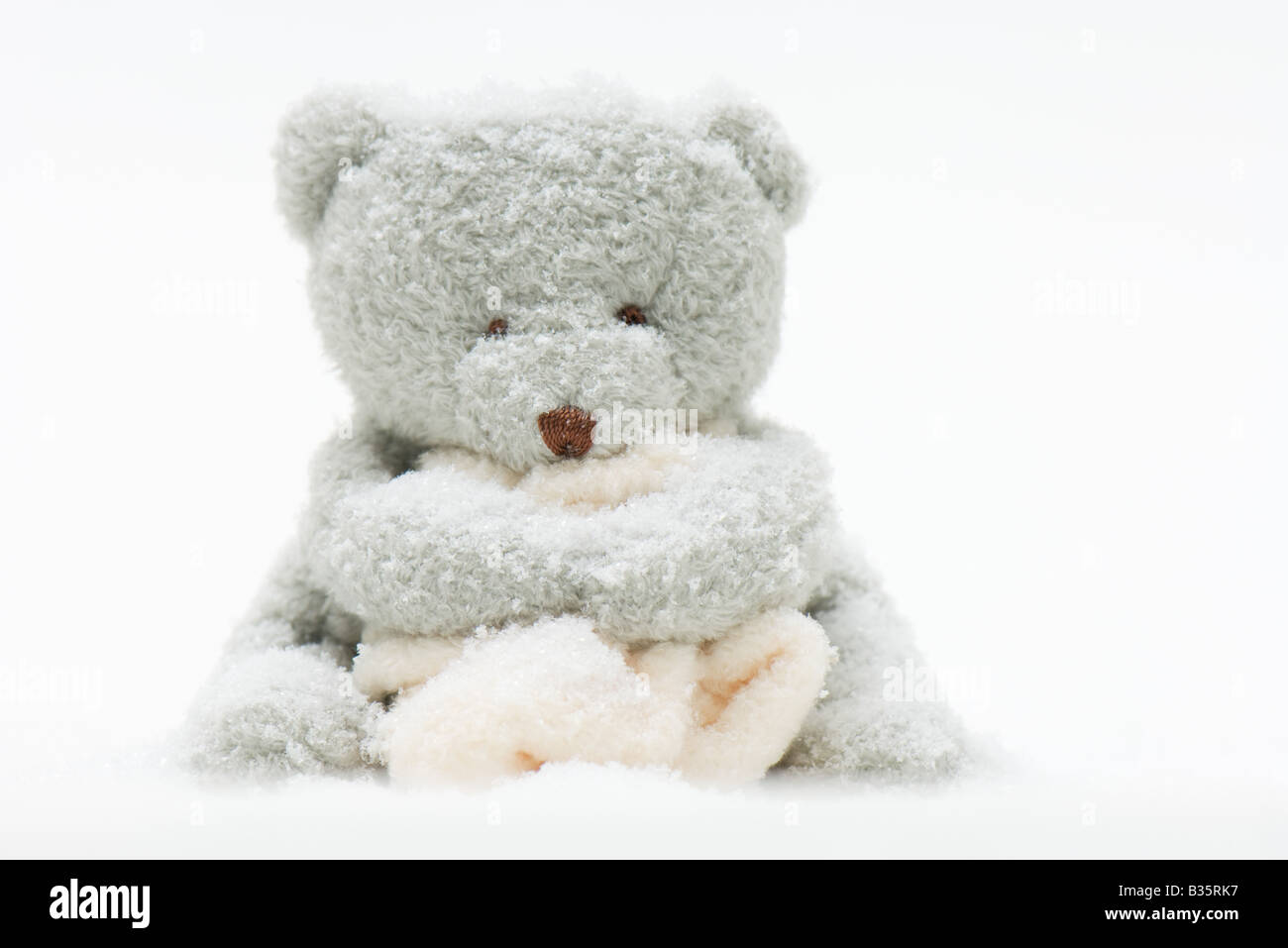 Covered in teddy bears Cut Out Stock Images & Pictures Alamy