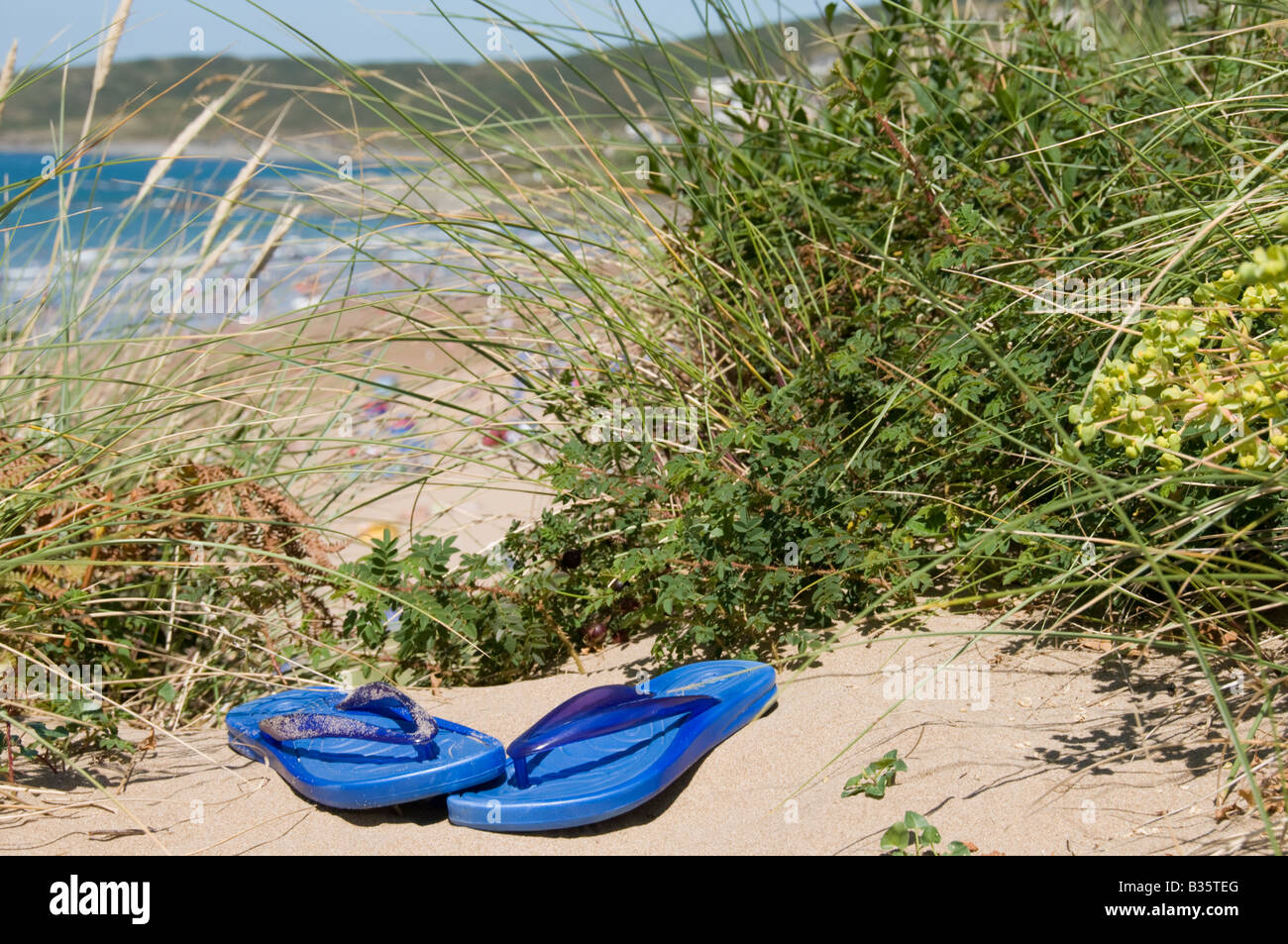 Flip flops on a sandy beach Stock Photo - Alamy