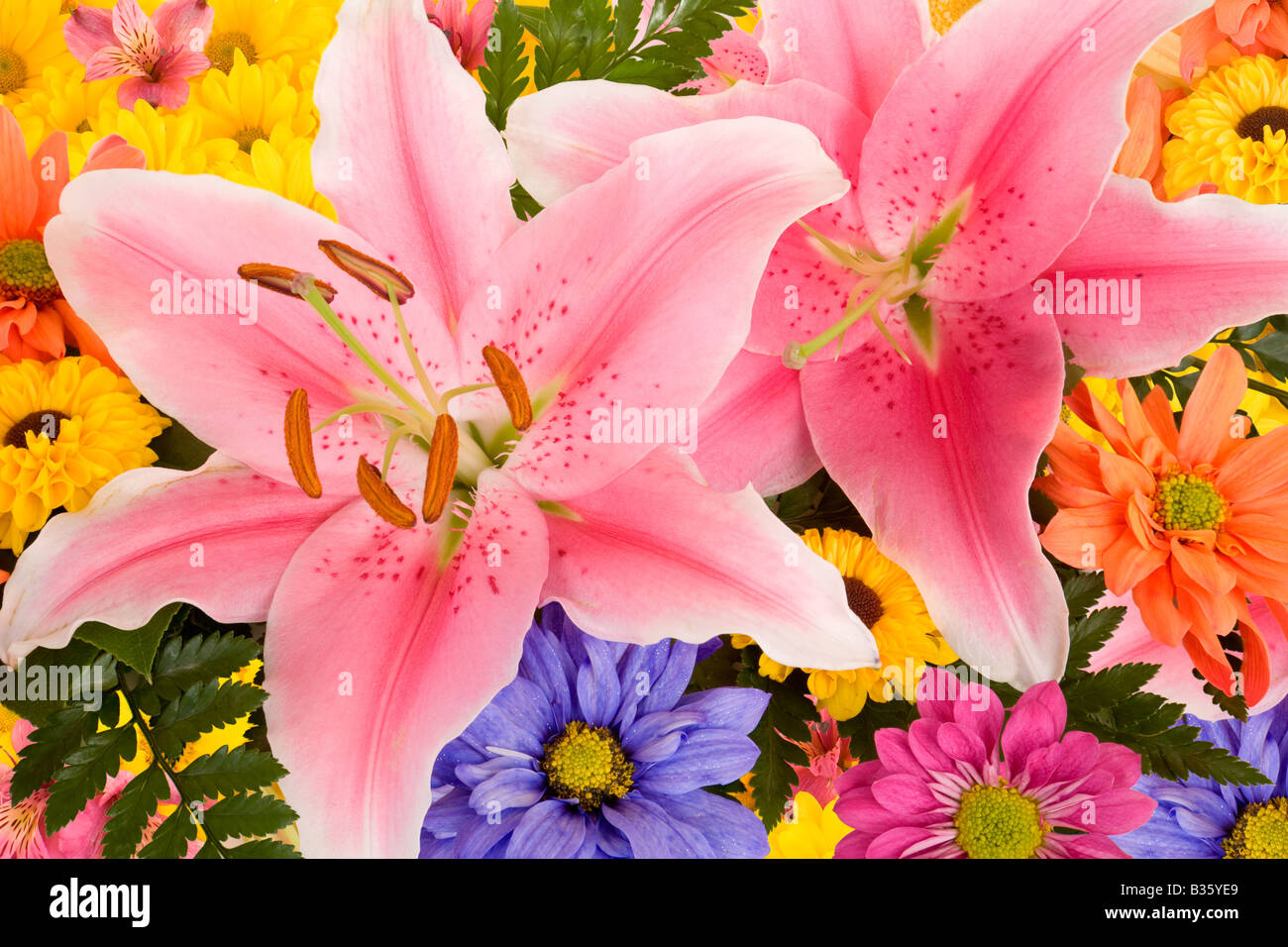 This is a colorful floral arrangement of lilies and daisies Stock Photo