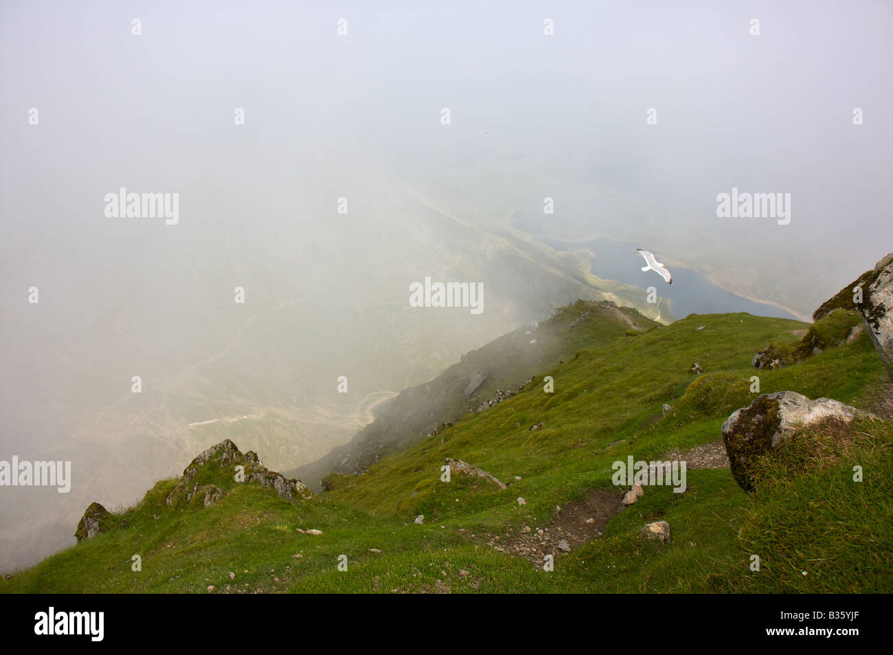 Bird flying over Mount Snowdon, Snowdonia, Wales, UK Stock Photo