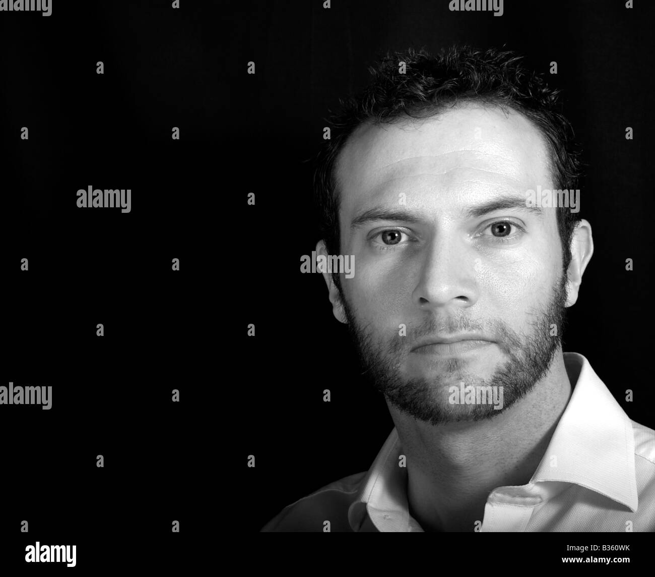 softbox portrait