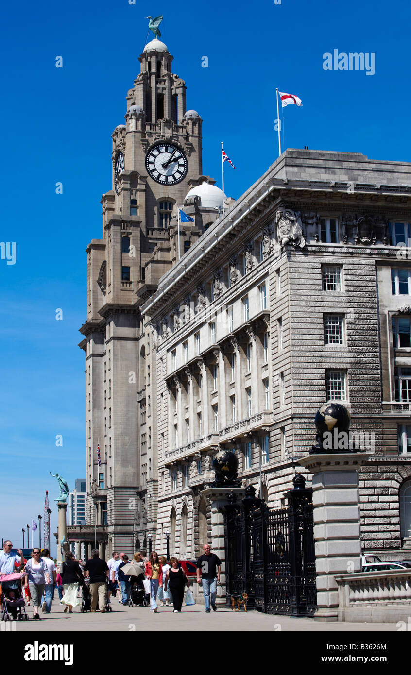 The Liver Buildings Liverpool UK Stock Photo