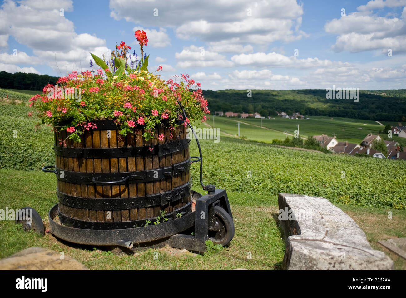 Wine vat flower display hires stock photography and images Alamy
