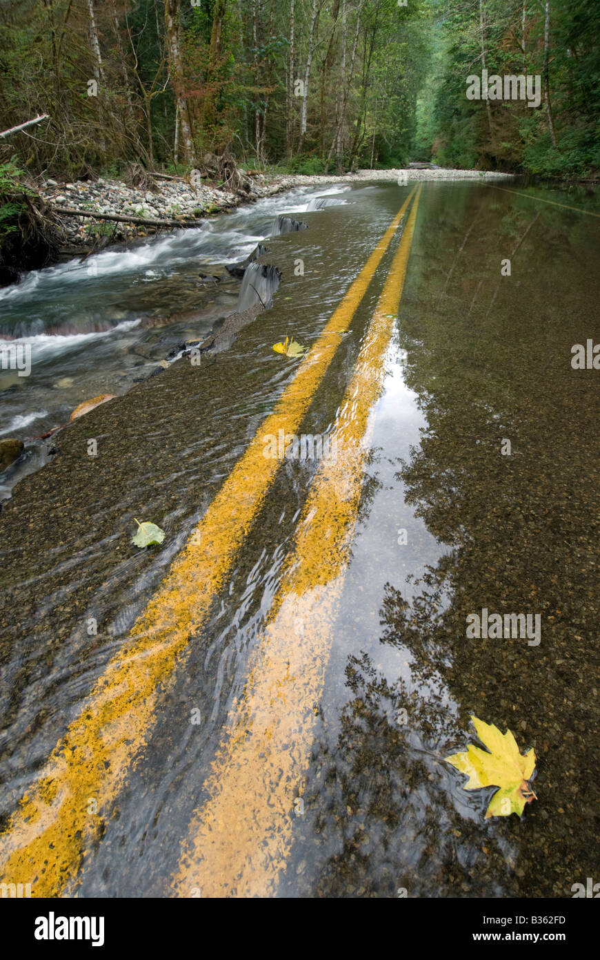 Washout of the North Fork Skykomish River Road in Washington state's