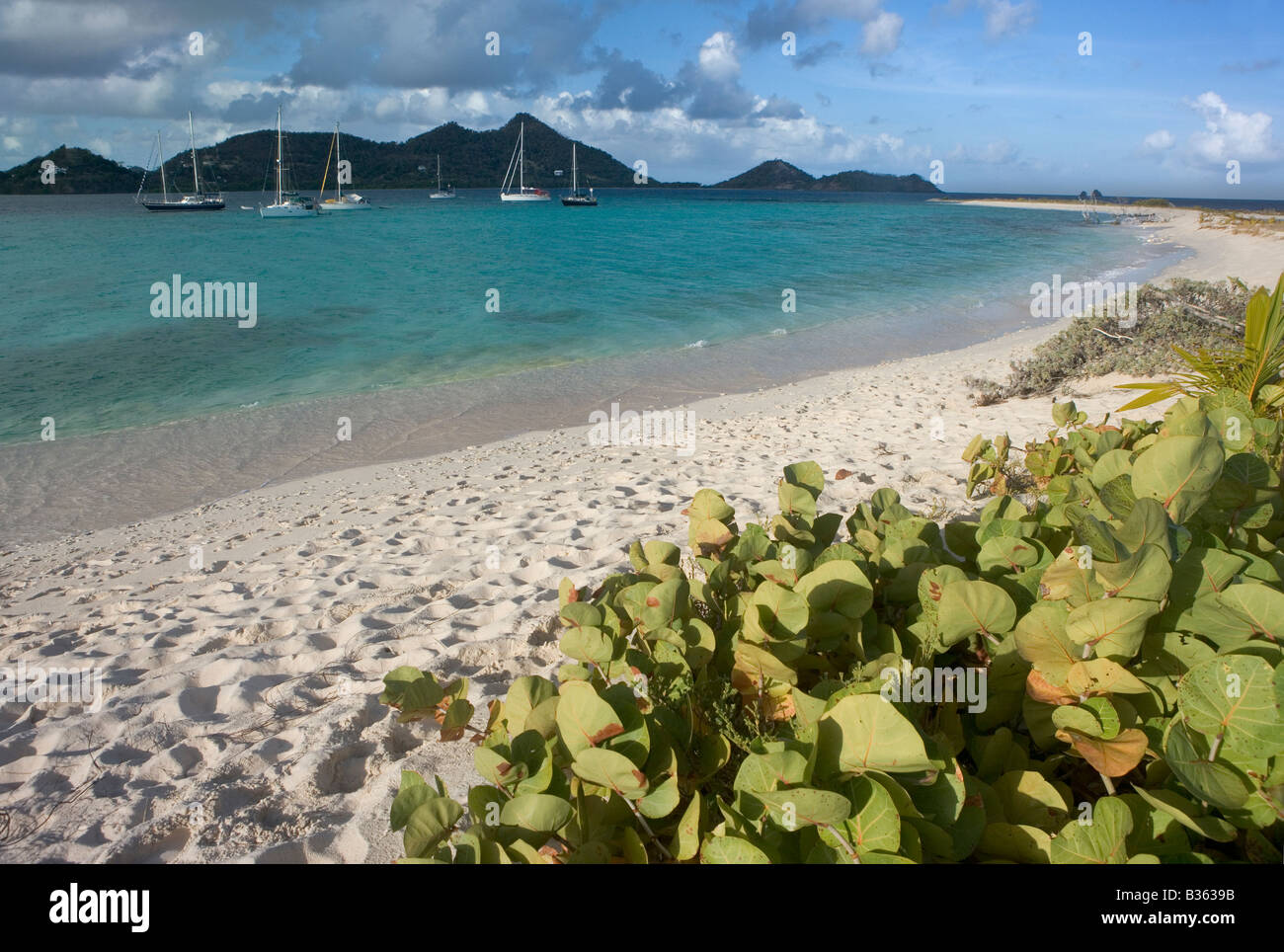 Cruising sailboats anchored next to Sandy Island Carriacou Grenada