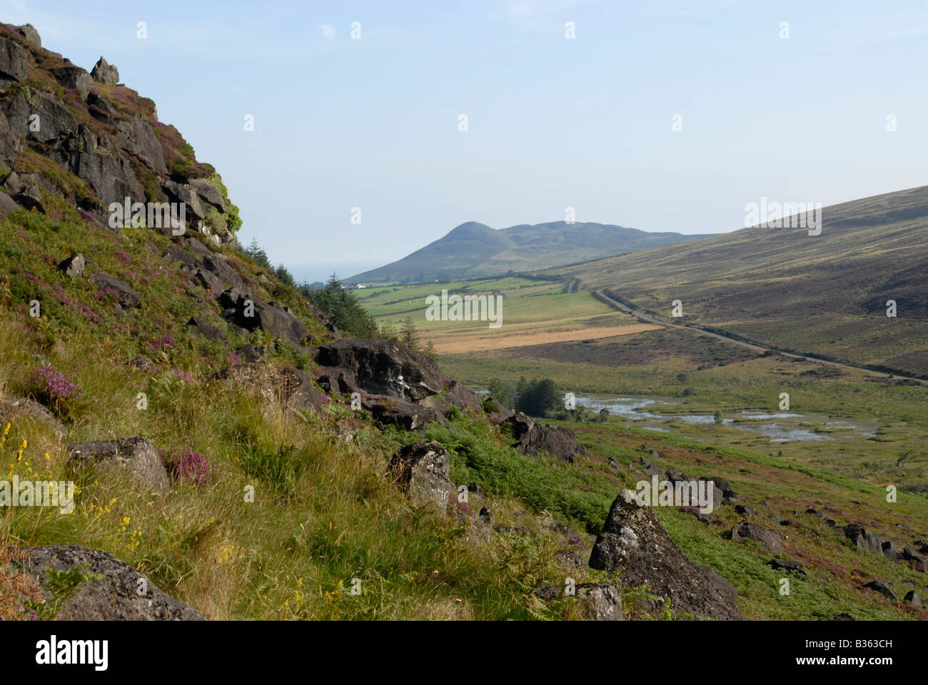 Landscape at the Cooley peninsula below Mt. Carlingford, Ireland Stock Photo