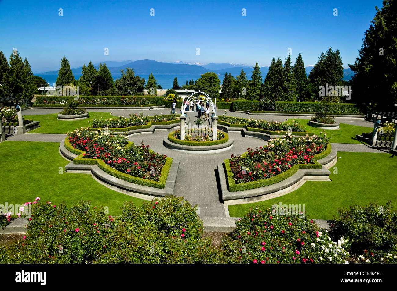 UBC Rose Garden Vancouver BC Canada Stock Photo Alamy
