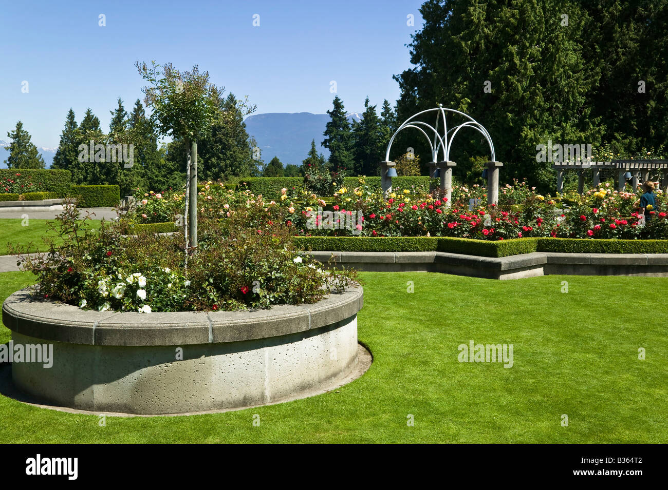 UBC Rose Garden Vancouver BC Canada Stock Photo Alamy