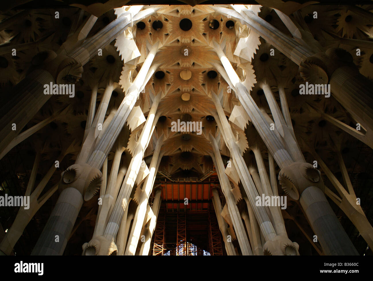 Sagrada Família church, interior shot showing the ceiling, Barcelona ...
